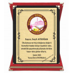  Plaket  15X20 