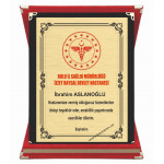  Plaket  15X20 