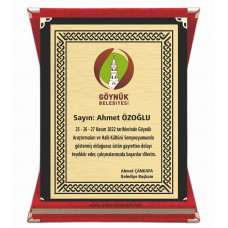  Plaket  BÜYÜK BOY