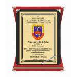 Plaket Jandarma