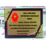 DOKTOR -VETERİNER - SAĞLIKÇI PLAKETİ 