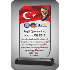 CAM PLAKET ELMAS 104