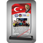 CAM PLAKET ELMAS 104